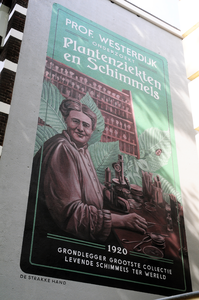 903389 Gezicht op de muurschildering Prof. Westerdijk onderzoekt plantenziekten en schimmels van schilderscollectief De ...